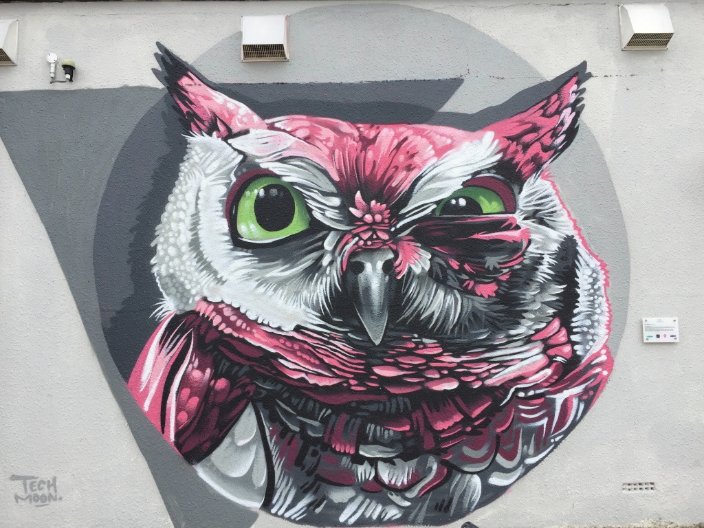Selfie Wall Trail The Owl- Tech Moon