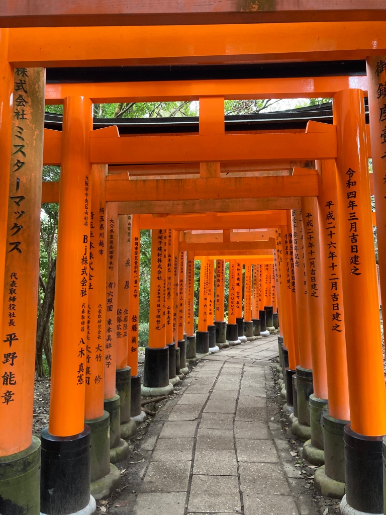 Starting the torii trail